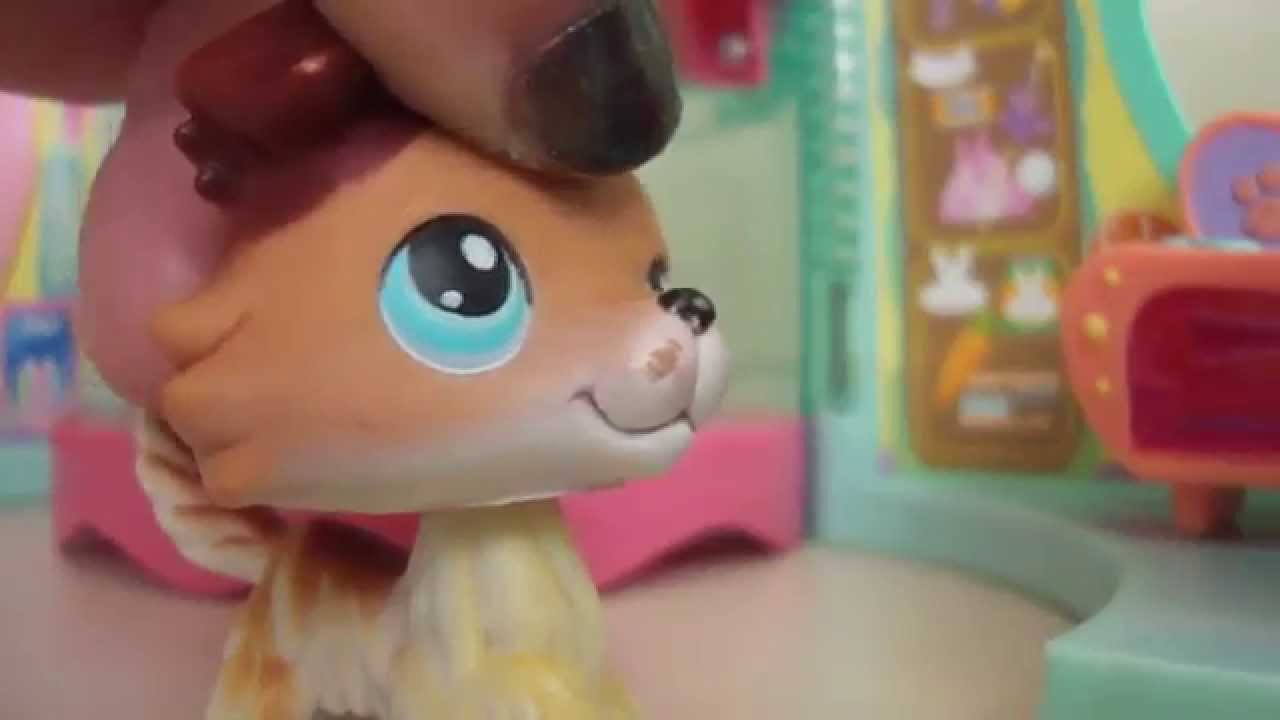 littlest pet shops - YouTube