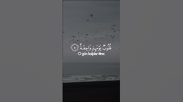 تلاوة من سورة النازعات بصوت القارئ شريف مصطفى