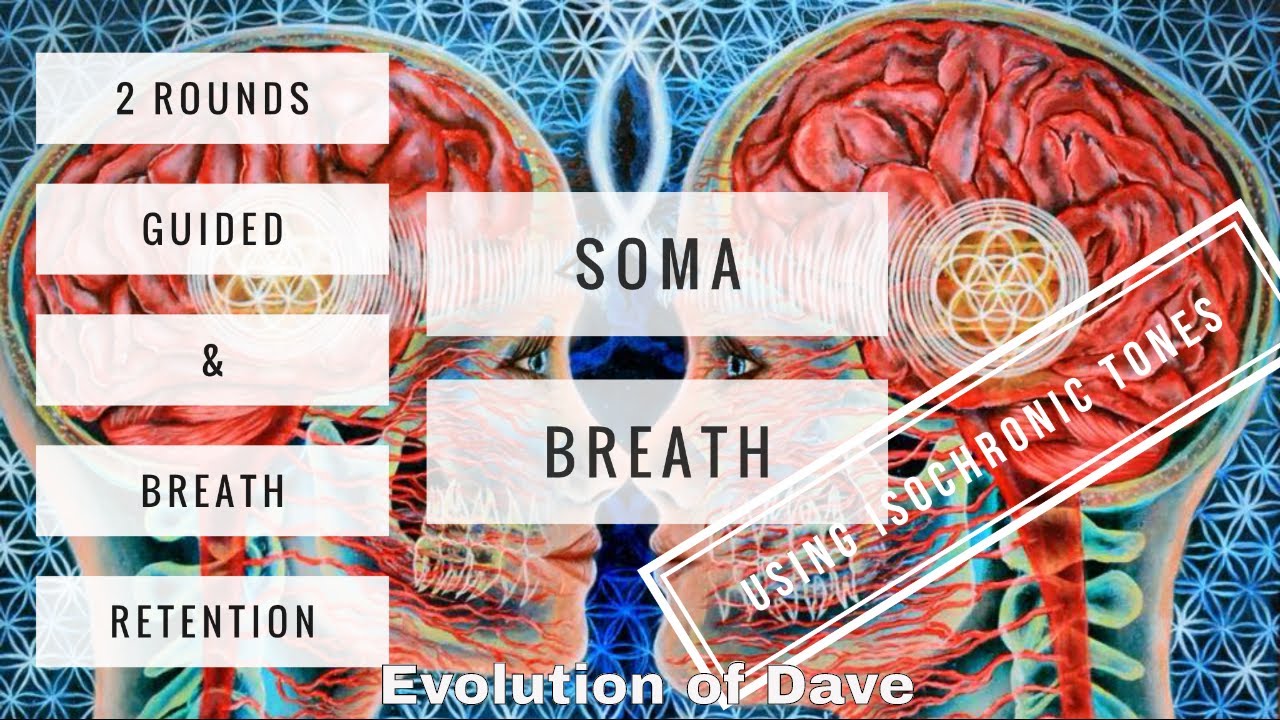 2 раунда 20-минутной управляемой медитации SOMA Breath-Work