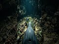 Dolphin POV: Tiny Camera Races Through a Hidden Ocean World 😳🐬 #microexploration #fishing #tinyworld