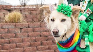 7 best things to do in Colorado this weekend: March 13-15, 2026