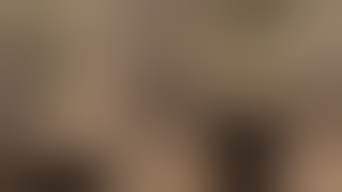 CCH2O day 10 mr nice scrog