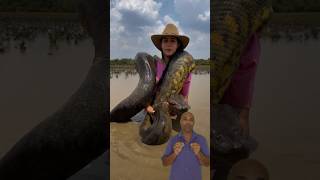 මිනිසුන් කන සර්පයෝ Man-eating Snakes 🐍