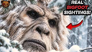 7 *NEW* BIGFOOT SIGHTINGS That Will Leave You Afraid!