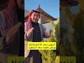 انتهى سعد الذابح وسعد ابلع ودخل علينا سعد السعود في خماسينية الشتاء وش تسوي سائد السردي