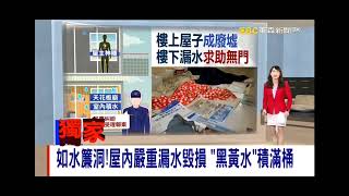 2022 1215 【1900東森晚間新聞】【吳宇舒 播報片段】