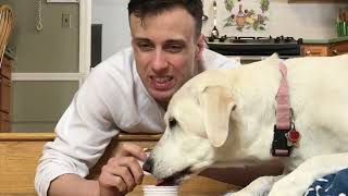 Dogsters "Mint" ice cream review