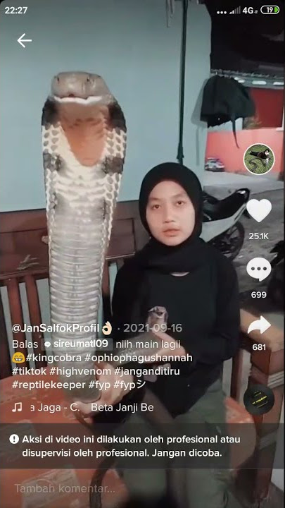 Tiktok viral,, Gadis pawang cobra