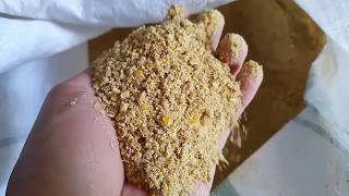 Kandungan Gizi Pakan Ayam Petelur New Hope L 583 العراق Vlip Lv
