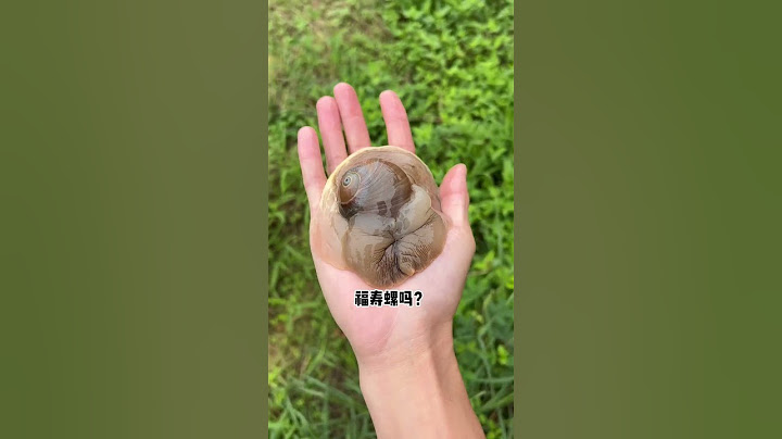 First time seeing a super big snail! | Chinese Mountain Forest Life and Food #Moo Tik Tok#FYP