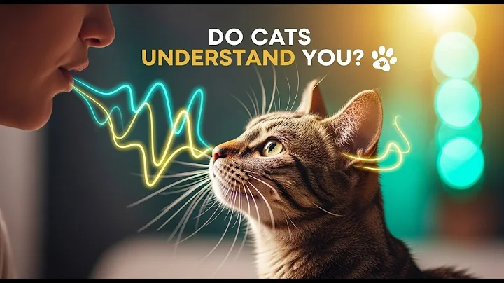 Do Cats Understand When You Talk to Them