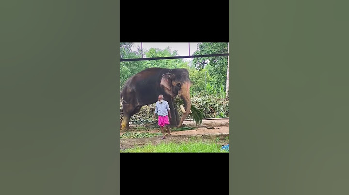 രാമോട്ടൻ കഴിഞ്ഞാൽ രാമന് ഏറ്റവും ഇഷ്ടം ഗോപാൽജിയെ# shorts#viral#aanakotta #Ramachandran#Emperor 1075