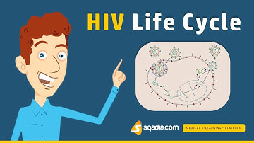 HIV Life Cycle | Microbiology Online | Medical Animation | V-Learning | sqadia.com