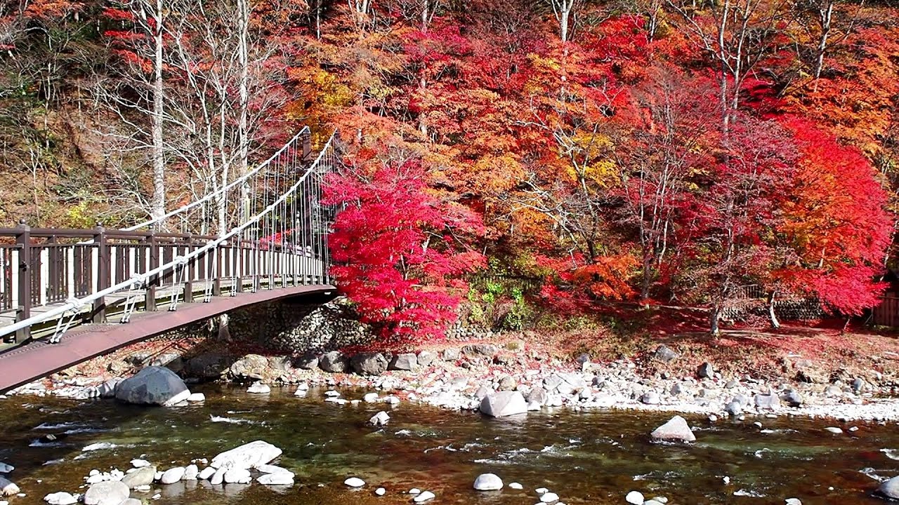 幻想的な紅葉の絶景 那須塩原の紅 くれない の吊り橋が美しすぎる 那須塩原 紅の吊り橋 栃木 那須塩原 Youtube 幻想的な紅葉の絶景 那須塩原の紅 くれない の吊り橋が美しすぎる 那須塩原 紅の吊り橋 栃木 那須塩原 Youtube