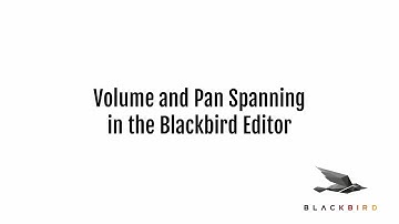Volume and Pan Spanning in the Blackbird Editor