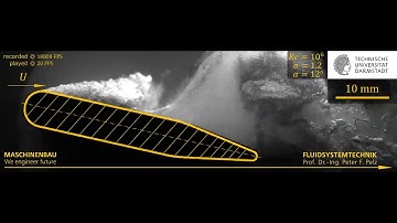 Shockwave-driven cloud cavitation about a Circular Leading Edge hydrofoil @TUDarmstadt