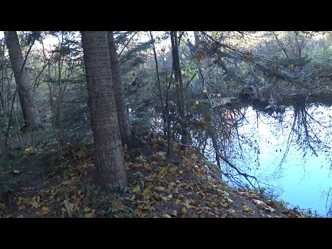 Видео: Лісова мікро річка \ спінінг