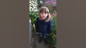 سورة الفيل