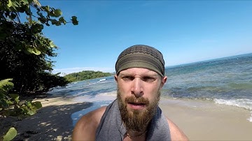 COB HOMES - ARE INSECTS AND RODENTS A PROBLEM?