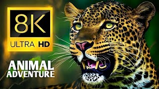 THE ULTIMATE 8K ANIMAL ADVENTURE 60FPS 8K ULTRA HD