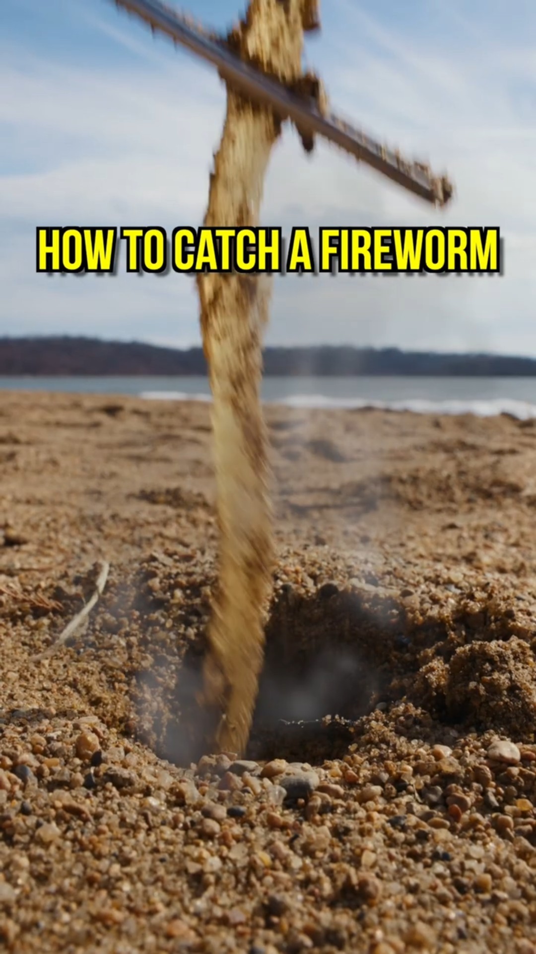 Would You Eat A FIREWORM?!