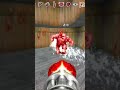 Purgatory Rounds Doom Infinite