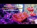 Морской аквариум своими руками 2 серия Marine Aquarium 75 liters