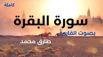 Surah Al Baqarah  سورة البقرة كاملة ومكتوبة طارق محمد تلاوة رائعة بصوت مميز بدون اعلانات جودة عالية