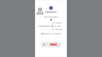 PROTOZOA - CLASSIFICATION #parasitology #biology #microbiology #science #protozoa #pathology  #neet