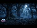 3 Hours Countdown Timer 🩵 | Ancient Forest Night | Focus &amp; Productivity