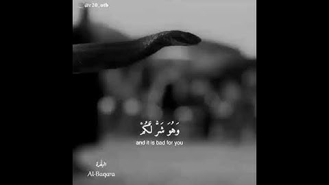 حالات واتساب قرآن كريم 🥰سورة البقرة😍لإراحة النفس و القلب