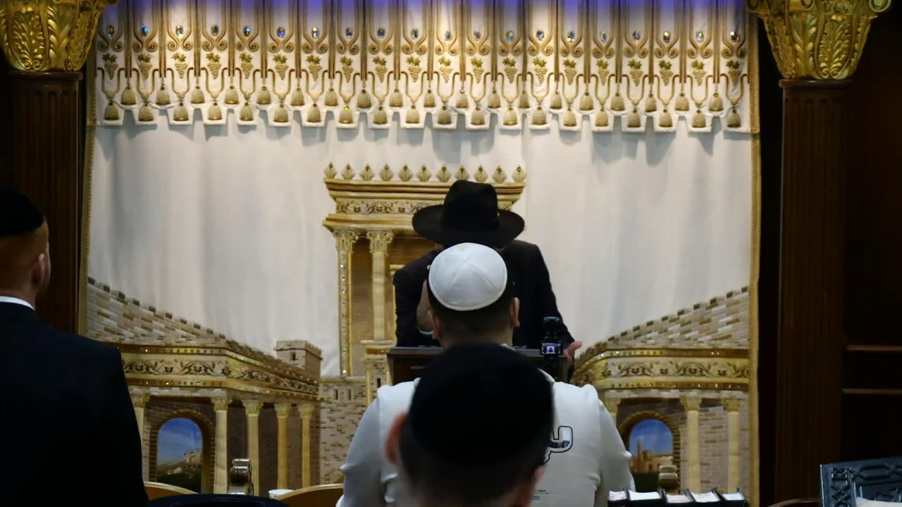 הרב מאיר דוד שמואלי שליט"א - שידור חי יום ד- פרשת תרומה תשפ"ו