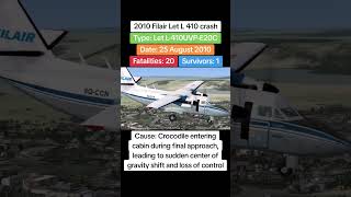 Celebrity Crocodile Causes Plane Crash 🐊 Net Worth