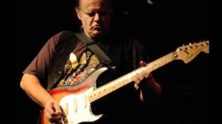 Walter Trout - Tired Of Sleeping Alone chords