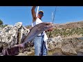 Fishing Amberjack's "AJ" from shore, Fishing Greece Kefalonia