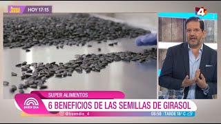 Buen Día - 6 beneficios de las semillas de girasol