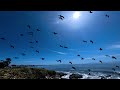 A LOOK AT SANTA CRUZ CALIFORNIA OCEAN VIEW FROM JAN to MAY 2022 in 4K