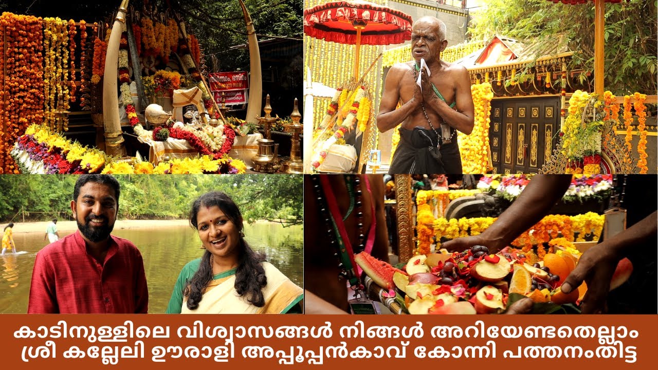 കാടിനുള്ളിലെ വിശ്വാസങ്ങൾ നിങ്ങൾ അറിയേണ്ടതെല്ലാം ശ്രീ കല്ലേലി ഊരാളി അപ്പൂപ്പൻകാവ് കോന്നി പത്തനംതിട്ട