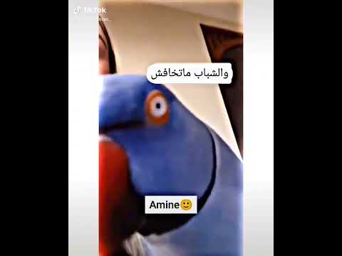 ازدم متخافش