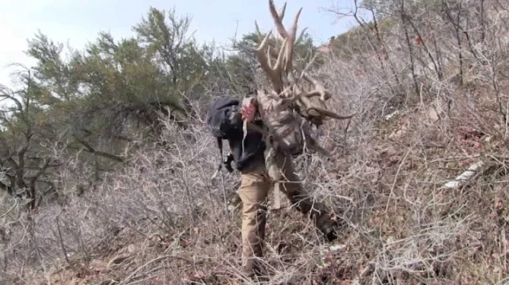 2014 Utah Elk Shed Hunting (THE BIG 5) Brandon Pitcher ep 1
