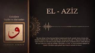 El Aziz C.c Esmasının Havassı (Sırları)