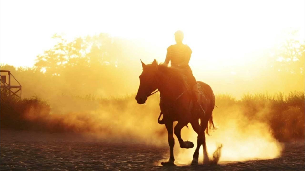 Много наездников на лошадях. Всадник едет по дороге. Рыцарь едет по улице. Всадник на коне. Большегрудая верхом на лошади.