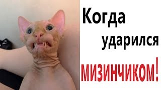 Лютые приколы. КОГДА УДАРИЛСЯ МИЗИНЧИКОМ!!! Самое смешное видео! Засмеялся проиграл!  Domi Show!