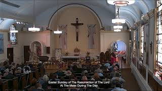 Easter  Mass Sunday 10:00am