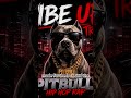 #pitbull #trap #vibeup #darktrap #hiphop #newmusic #typebeat #rap #beats #freestyle
