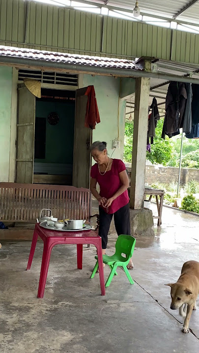 My Video 4