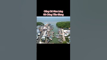 Cảng cá Vàm Láng Gò Công Tiền Giang #netdepmientay_