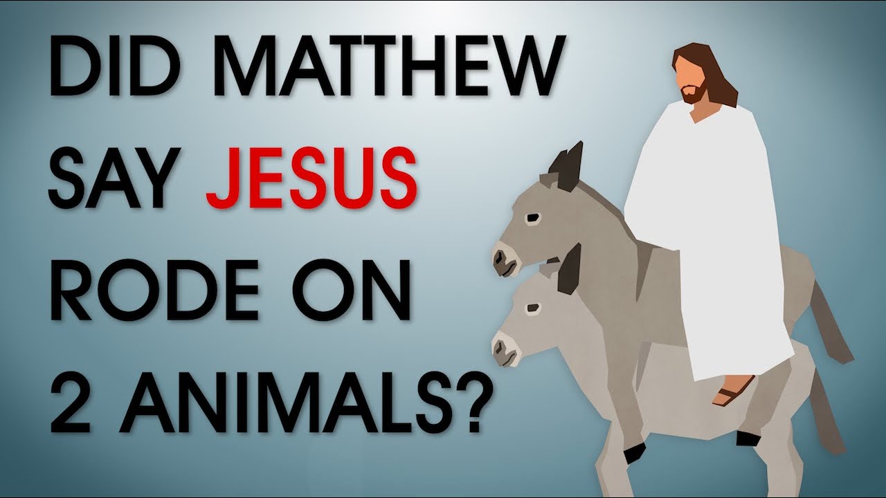 Did Jesus Ride Two Donkeys Supposed Biblical Error 20 YouTube did-jesus-ride-two-donkeys-supposed-biblical-error-20-youtube