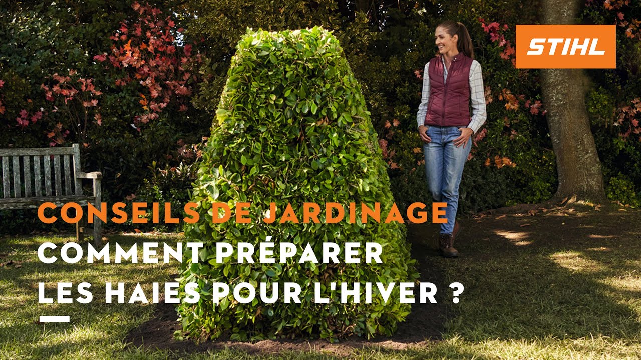Comment préparer les haies pour l’hiver ? | Conseils de jardinage STIHL