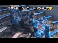 【2026年度これが鴨川シーワールド流の新入社員入社式だ😆👍】シャチの洗礼💦儀式